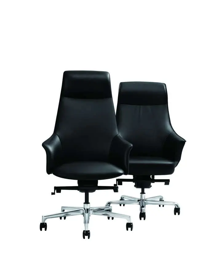 19 - Rhythm - α and β Executive Chair in Carbon Black.webp
