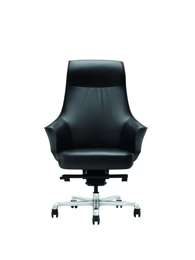 1 - Rhythm - β Executive Leather Chair in Carbon Black.webp