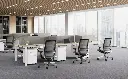 员工1.1.webp