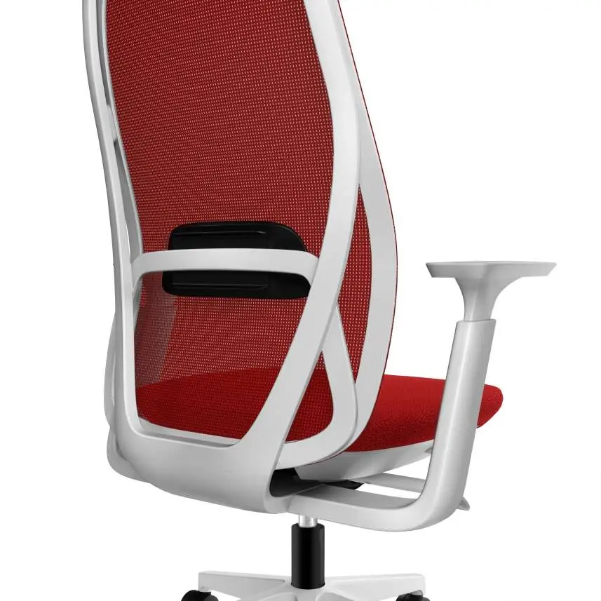 62 - Adjustable Lumbar.webp