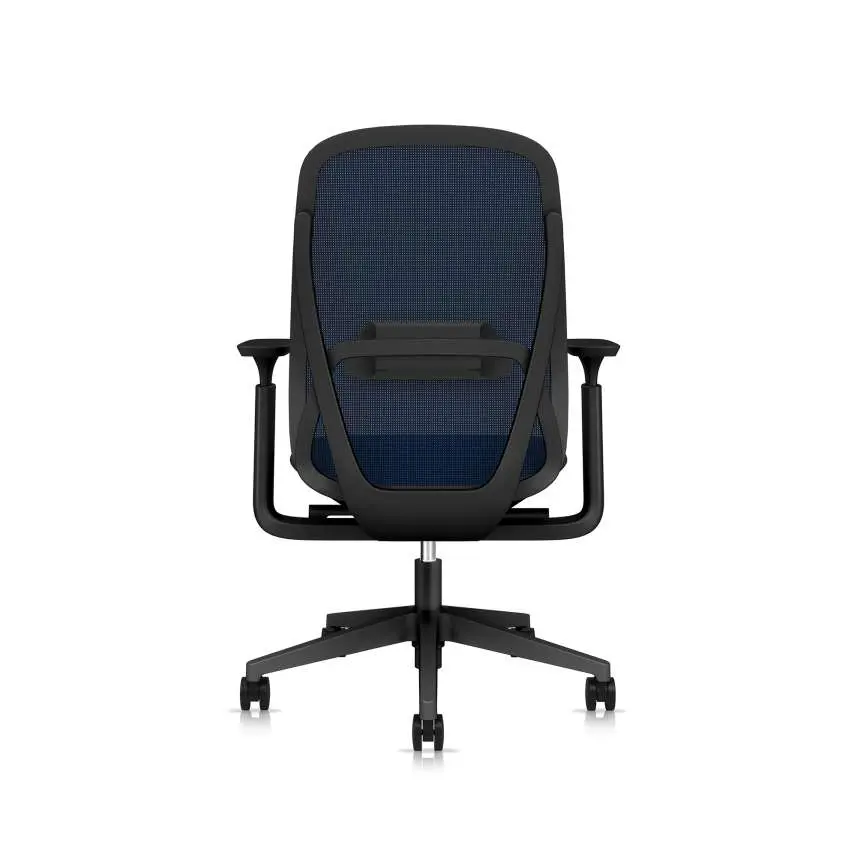 25 - Trus - Mid Back_MT03_NW02.webp