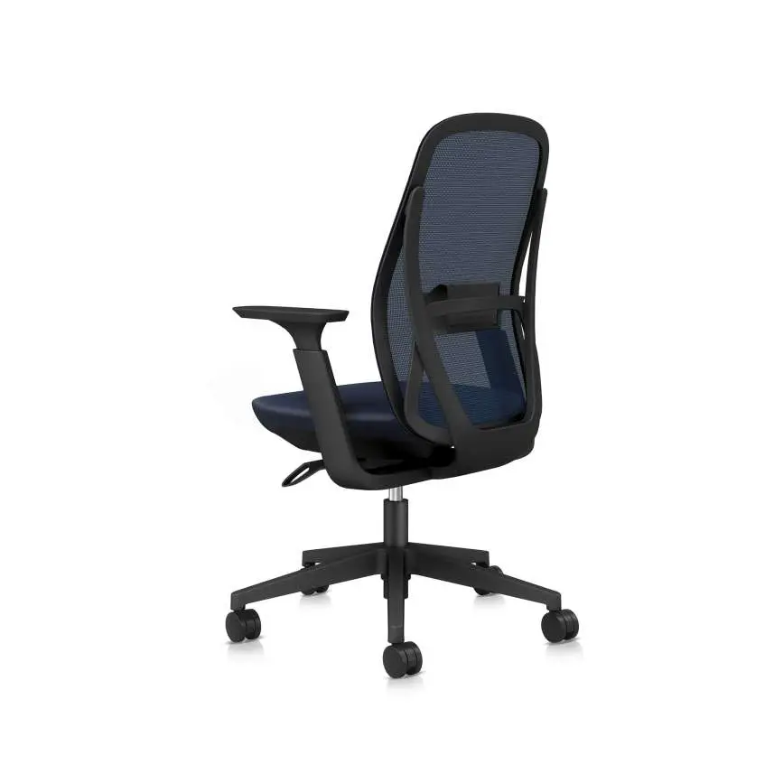 24 - Trus - Mid Back_45°_Back_View_MT03_NW02.webp