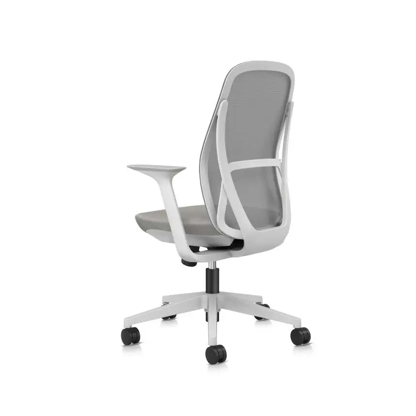 16 - Trus - Mid Back_45°_Back_View_MT05_NW36.webp