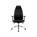 46 - Trus - High Back Cushioned with Headrest_G8 (1).webp