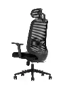26 - Ezee Chair with Headrest_MG02_NW39.webp