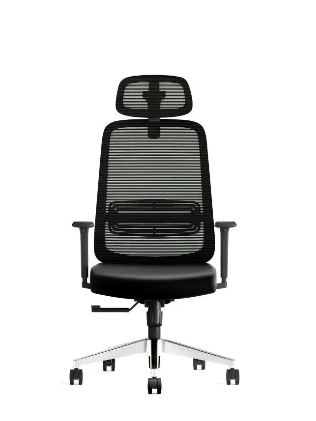 27 - Ezee Chair with Headrest_MG02_B8.webp