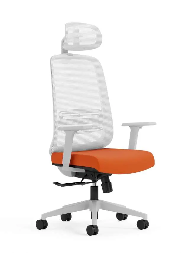 20 - Ezee Chair with Headrest_MG01_NW56.webp