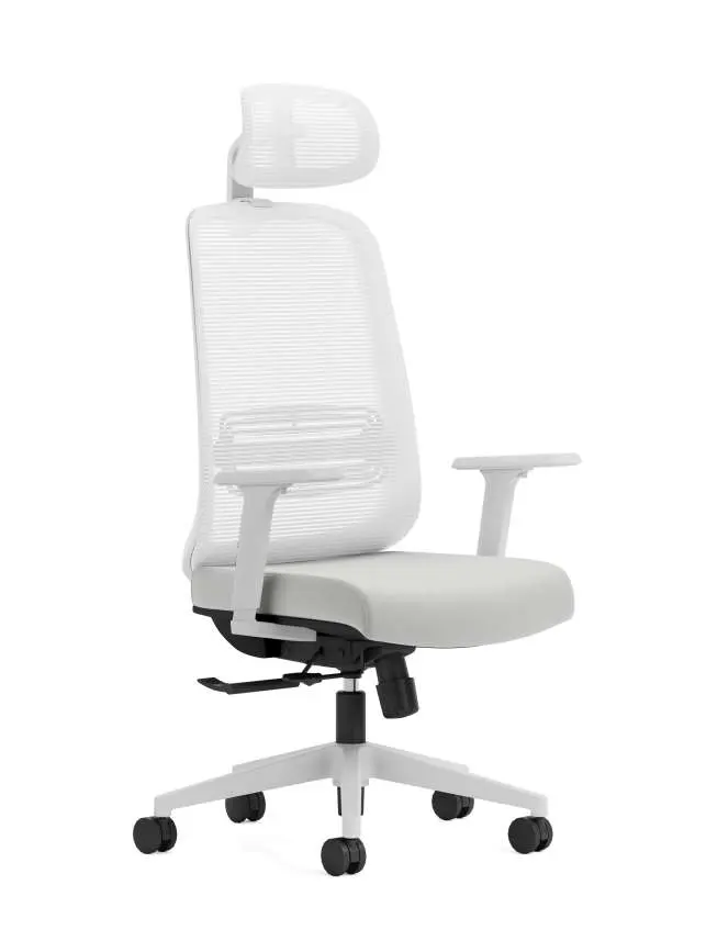 17 - Ezee Chair with Headrest_MG01_NW53.webp