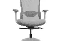 21 - Liquid Chair - Weight Activated Synchronized Mechanism.webp